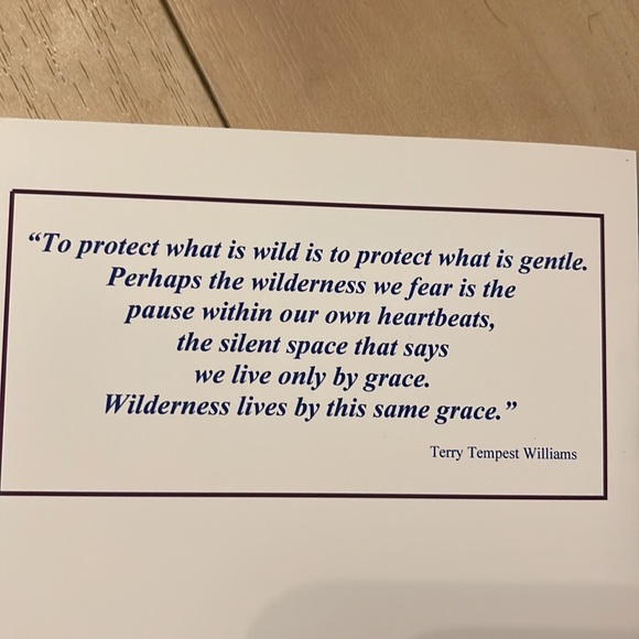 🎨Artist Print 2 Wolves Oil Painting -Card by Artist Hannah Shook - Picture 4 of 5